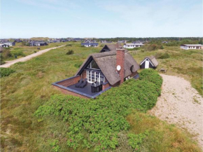 Holiday home Havklitvej Ringkøbing VI